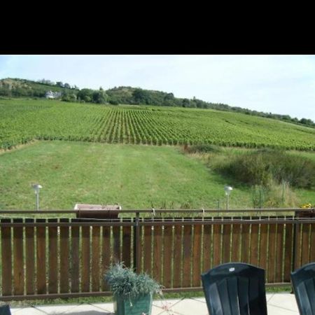Maison Au Milieu Des Vignes Moroges エクステリア 写真