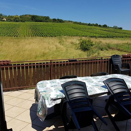 Maison Au Milieu Des Vignes Moroges エクステリア 写真