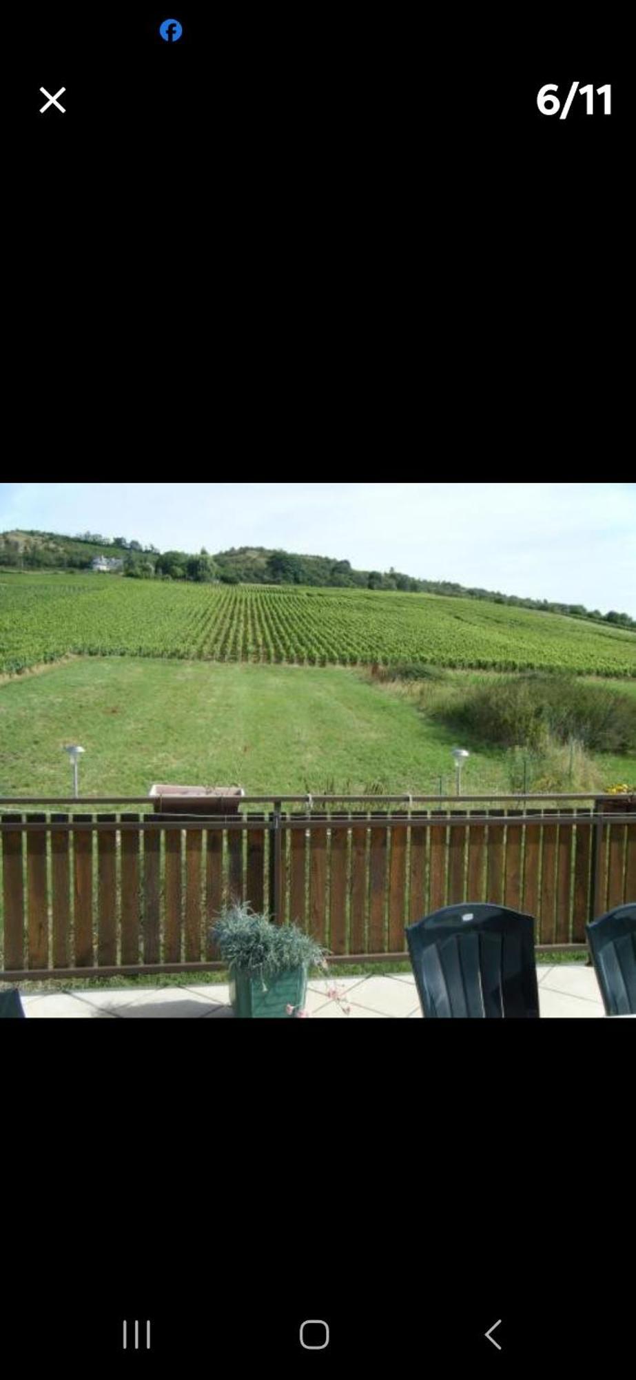 Maison Au Milieu Des Vignes Moroges エクステリア 写真